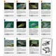 FISHMAX - Kartová hra Kvarteto Ryby