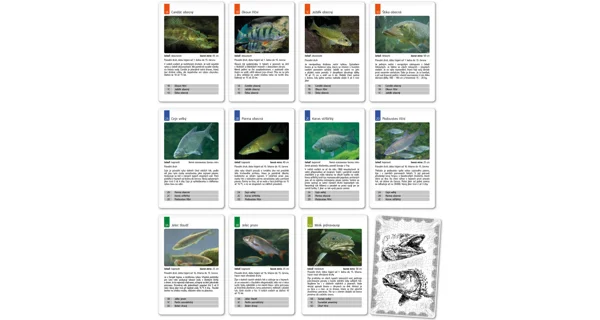 FISHMAX - Kartová hra Kvarteto Ryby
