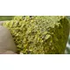 FISHMAX - Krmítková zmes Vanilla Dream 1 kg