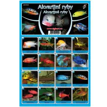 FISHMAX - Pexeso Akvarijné ryby