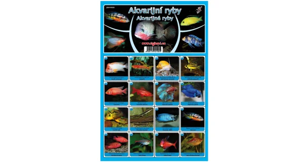 FISHMAX - Pexeso Akvarijné ryby