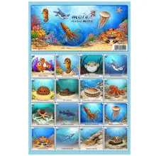 FISHMAX - Pexeso More