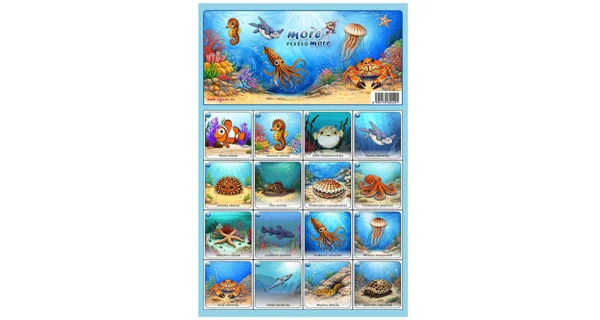 FISHMAX - Pexeso More