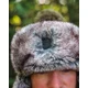 FOX - Baranice Trapper Hat