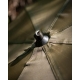 FOX - Dáždnik Brolly 60"