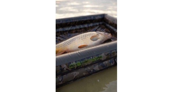 FOX - Nafukovacia podložka Carpmaster Air Mat