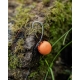 FOX - Náväzce Edges Spinner Rig veľ. 6 3 ks