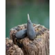 FOX - Olovo Edges Distance Inline Lead 127 g