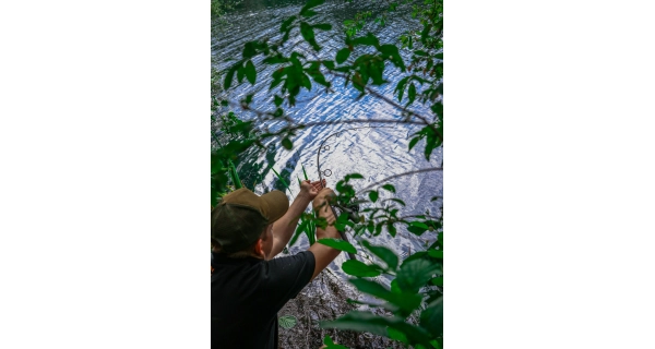 FOX - Prút Explorer 8–10 ft 3,25 lb Full Shrink