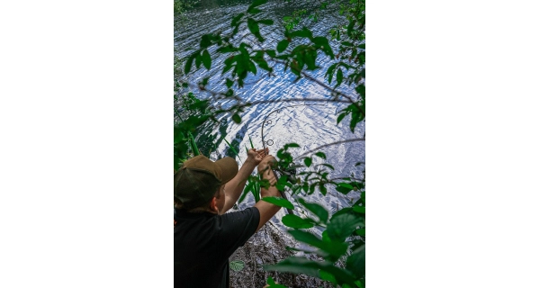 FOX - Prút Explorer 8–10 ft 3,25 lb Full Shrink