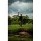 FOX - Prút Horizon X6 Ti Limited Custom Olive 13 ft 4 lb