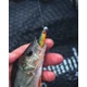 FOX RAGE - Gumová nástraha Mini Tiddler Mixed Color Packs Loaded 7 cm 4 ks