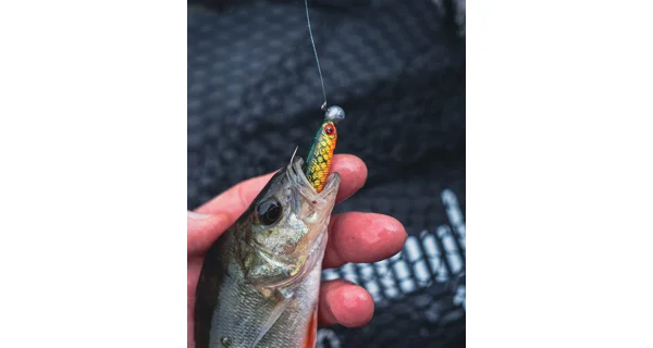 FOX RAGE - Gumová nástraha Mini Tiddler Mixed Color Packs Loaded 7 cm 4 ks