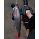 FOX RAGE - Gumová nástraha Pre Shad 10 cm UV Ultra Natural Roach
