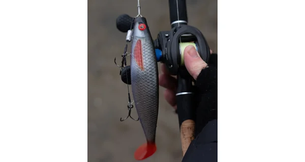 FOX RAGE - Gumová nástraha Pre Shad 10 cm UV Ultra Natural Roach