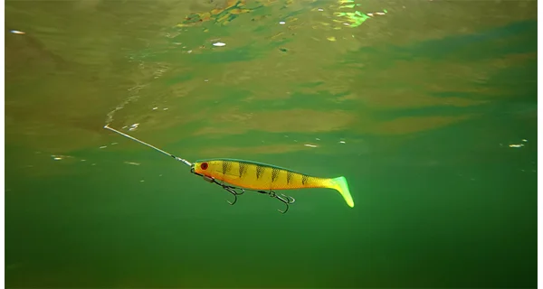 FOX RAGE - Gumová nástraha Pre Shad 14 cm UV Natural Perch