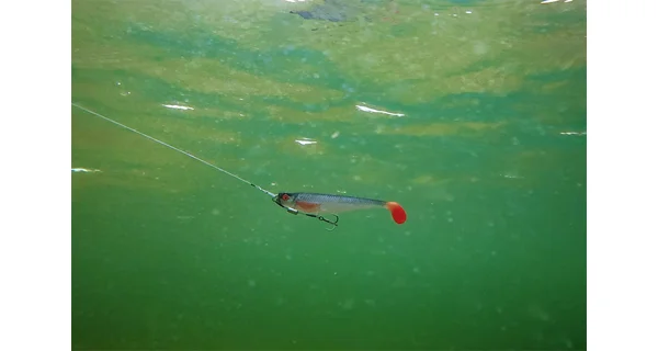 FOX RAGE - Gumová nástraha Pre Shad 23 cm UV Ultra Natural Roach