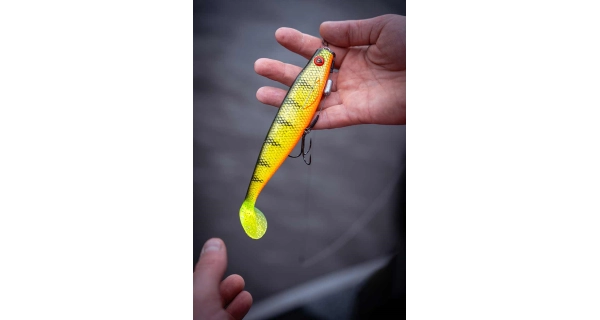 FOX RAGE - Gumová nástraha Pre Shad Loaded Silver Halo 14 cm