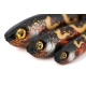 FOX RAGE - Gumová nástraha Slick Eel Burbot 28 cm