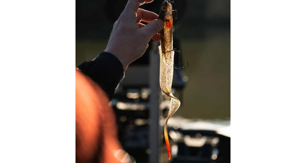 FOX RAGE - Gumová nástraha Slick Eel Loaded UV Burbot veľ. 3/0 35 cm