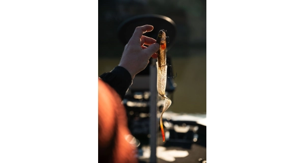 FOX RAGE - Gumová nástraha Slick Eel UV Perch veľ. 1/0 28 cm