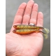 FOX RAGE - Gumová nástraha Slick Shad Natural Perch 11 cm