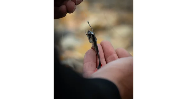 FOX RAGE - Gumová nástraha Ultra Fillet 6 cm 4 ks Natural Perch