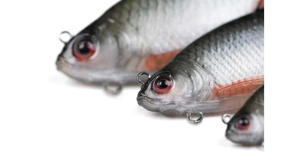 FOX RAGE - Gumová nástraha Ultra Natural Realistic Roach Replicant 23 cm