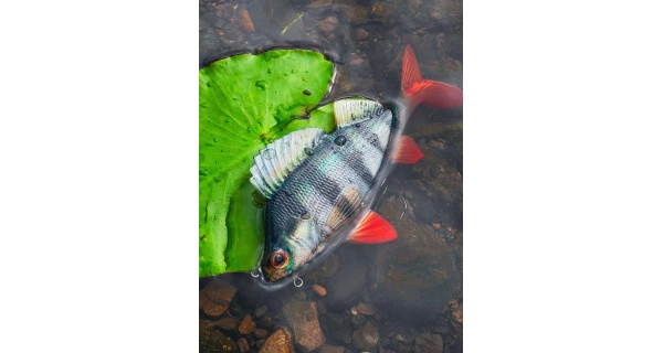 FOX RAGE - Gumová nástraha Ultra Realistic Perch Replicant 10 cm 22 g