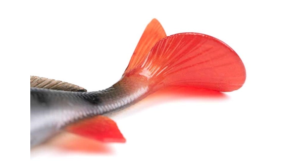 FOX RAGE - Gumová nástraha Ultra Realistic Perch Replicant 10 cm 22 g