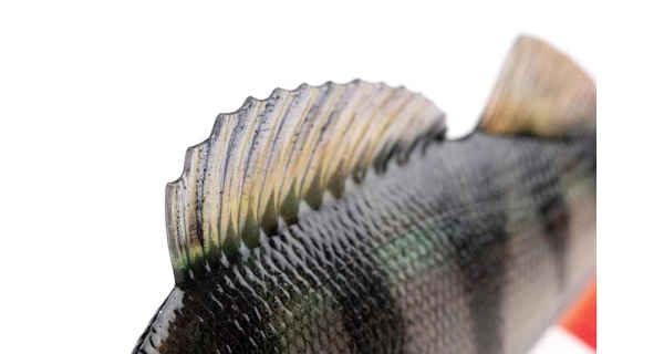 FOX RAGE - Gumová nástraha Ultra Realistic Perch Replicant 10 cm 22 g
