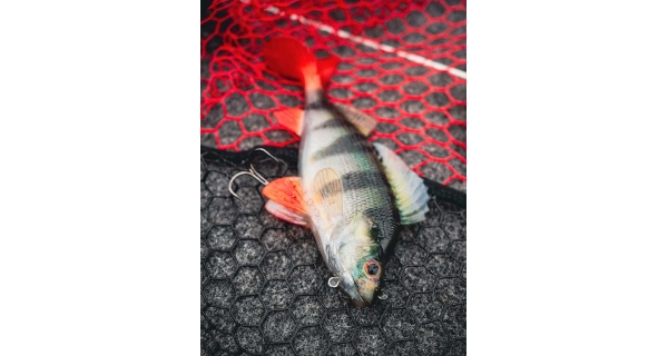 FOX RAGE - Gumová nástraha Ultra Realistic Perch Replicant 10 cm 22 g