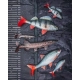 FOX RAGE - Gumová nástraha Ultra Realistic Pike Replicant 10 cm 12 g