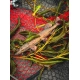FOX RAGE - Gumová nástraha Ultra Realistic Pike Replicant 10 cm 12 g