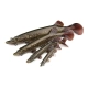 FOX RAGE - Gumová nástraha Ultra Realistic Pike Replicant 20 cm 80 g