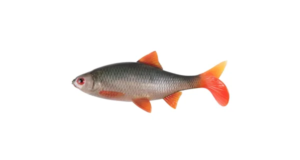 FOX RAGE - Gumová nástraha Ultra Realistic Replicant 18 cm Natural Roach