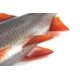 FOX RAGE - Gumová nástraha Ultra Realistic Replicant 18 cm Natural Roach
