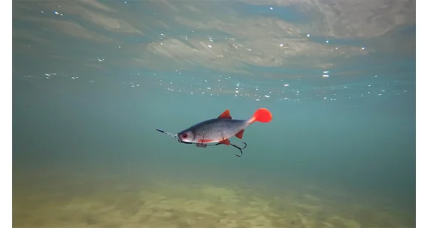 FOX RAGE - Gumová nástraha Ultra Realistic Replicant 18 cm Natural Roach