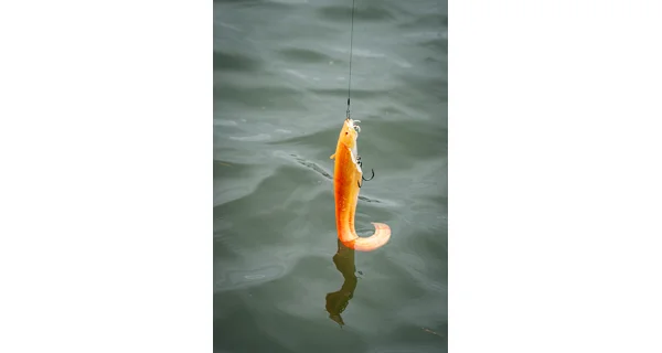 FOX RAGE - Gumová nástraha Ultra Realistic Replicant Catfish 10 cm 51 g Golden Wels