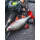FOX RAGE - Gumová nástraha Ultra Realistic Roach Replicant 10 cm 18 g