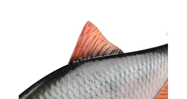FOX RAGE - Gumová nástraha Ultra Realistic Roach Replicant 10 cm 18 g