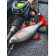 FOX RAGE - Gumová nástraha Ultra Realistic Roach Replicant 18 cm 80 g