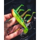 FOX RAGE - Gumová nástraha Zander Pro Shad Lemon Tiger 12 cm