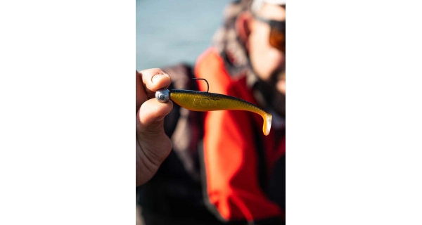 FOX RAGE - Gumová nástraha Zander Pro Shad Ultra Natural Roach 10 cm