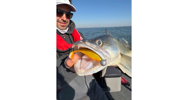 FOX RAGE - Gumová nástraha Zander Pro Shad Ultra Natural Roach 10 cm