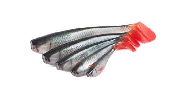 FOX RAGE - Gumová nástraha Zander Pro Shad Ultra Natural Roach 10 cm