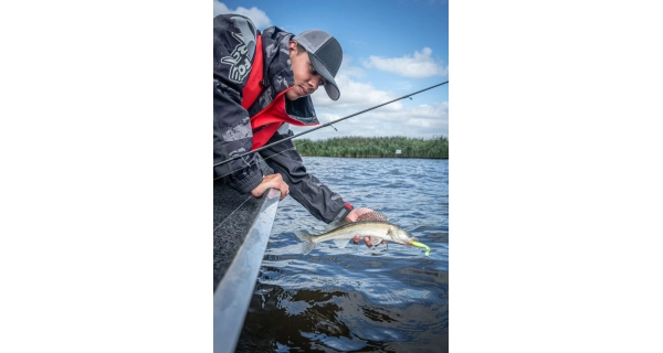 FOX RAGE - Montáž Drop Shot Mini Ready Rig veľ. 2 3 ks