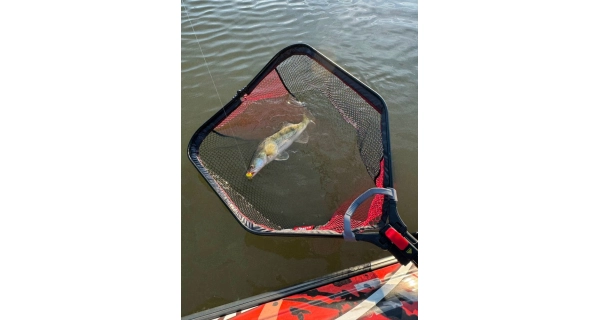 FOX RAGE - Podberák Speed Flow Folding Net Large