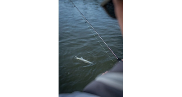 FOX RAGE - Prút Warrior Zander Jig 2,4 m 10-30 g 2 diely