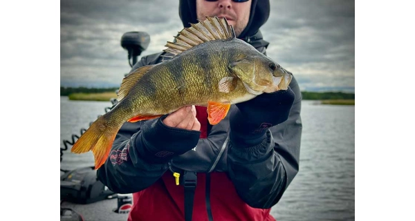 FOX RAGE - Rukavice Neoprene Mitts veľ. S/L